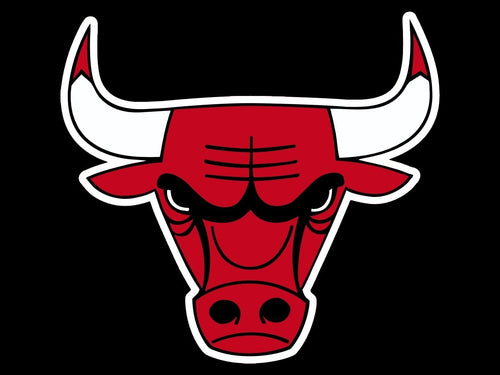 1996 CHICAGO BULLS 'SS' TEE - XL