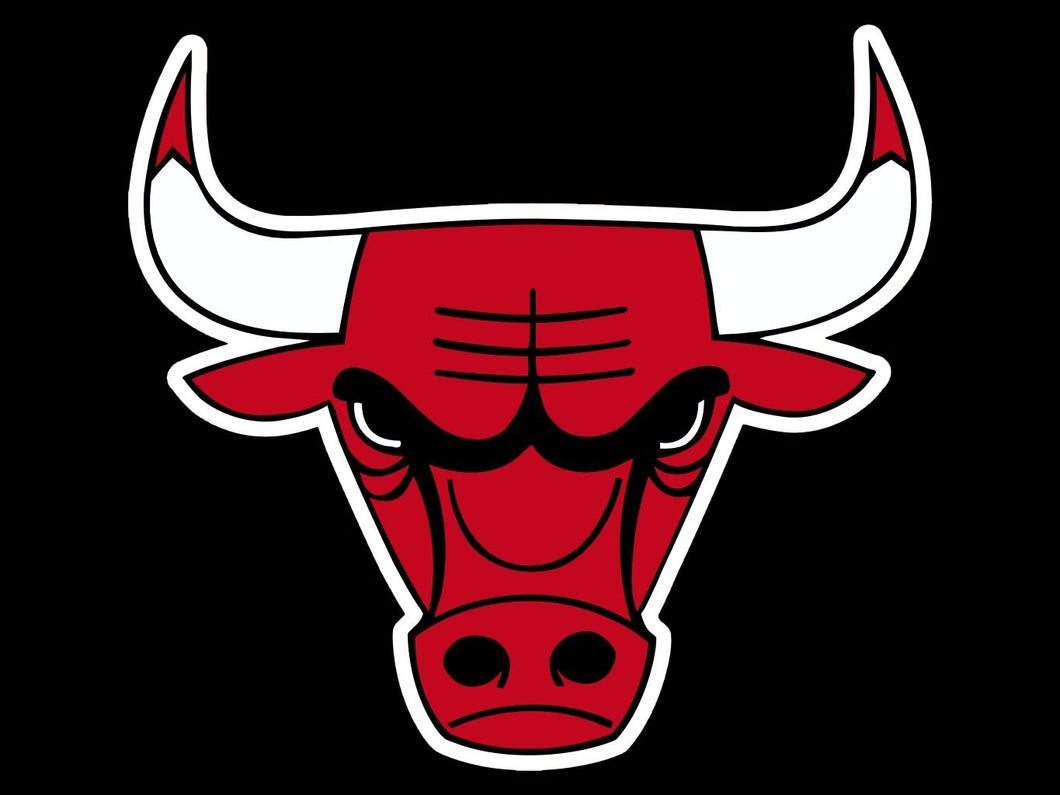 1996 CHICAGO BULLS 'SS' TEE - XL