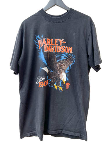 RARE HARLEY DAVIDSON 'NIAGARA FALLS' SS TEE - XL