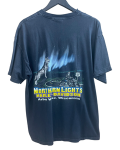 HARLEY DAVIDSON NORTHERN LIGHTS TEE - LARGE