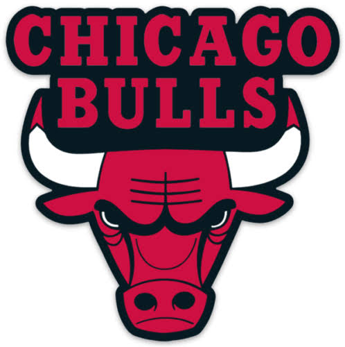 Bulls Tee